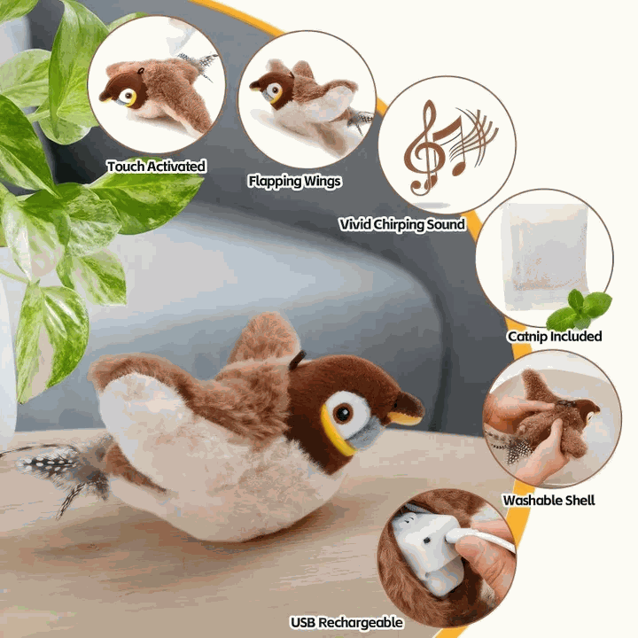 Flying Bird Cat Toy