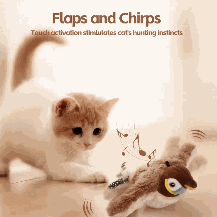 Flying Bird Cat Toy
