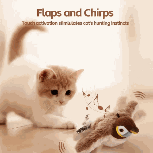 Flying Bird Cat Toy