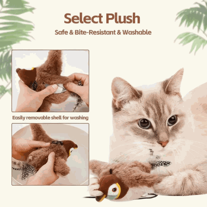 Flying Bird Cat Toy