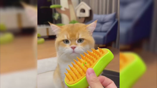 Cat Dog Steamy Brush, Safe and Easy to Use
